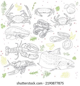 Fish and Seafood sketch. Vintage fish, shrimps, crabs, rapans, shells, oysters, mussels, lobsters. Sea Delicatessen Market Set