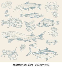 Fish and Seafood sketch. Vintage fish, shrimps, crabs, rapans, shells, oysters, mussels, lobsters. Sea Delicatessen Market Set