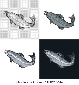 Fish. Seafood. Vector illustration. Isolated image on white background. Vintage style.