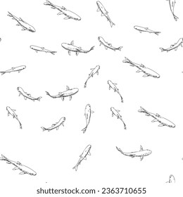 Fish seamless background, Simple hand drawn illustration of many fish swimming in water view from top, Black and white repeating pattern