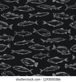 Fish seamless pattern. Background with hand drawn seafood tilapia, ocean perch, sardine, anchovy, sea bass, dorado and etc. Chalkboard style