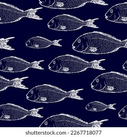 Fish seamless pattern. Background with sea bass.