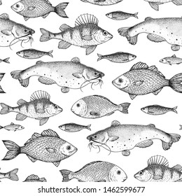 Fish seamless pattern. Hand drawn vector illustration. Seafood vector illustration. Food menu illustration. Hand drawn. Engraved style.