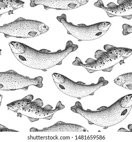 Fish seamless pattern. Hand drawn vector illustration. Seafood vector illustration. Food menu illustration. Hand drawn. Engraved style.  Salmon, rainbow trout, cod sketch.