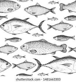 Fish seamless pattern. Hand drawn vector illustration. Seafood vector illustration. Food menu illustration. Hand drawn. Engraved style. Rainbow trout, tuna. herring sketch