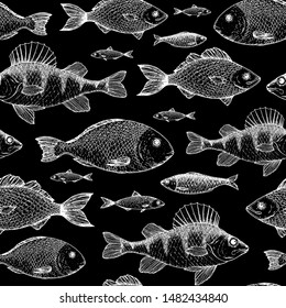 Fish seamless pattern. Hand drawn vector illustration. Seafood vector illustration. Food menu illustration. Hand drawn. Engraved style. Perch, bream, herring, dorado sketch.