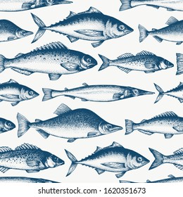 Fish seamless pattern. Hand drawn vector fishes illustration. Engraved style. Vintage different kinds of fish background.