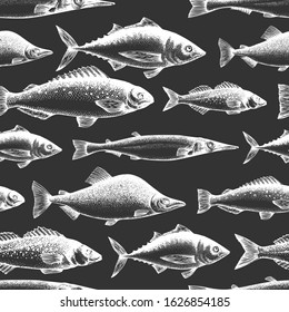 Fish seamless pattern. Hand drawn vector fishes illustration on chalk board. Engraved style. Retro different kinds of fish background.