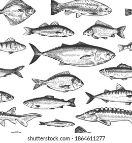 Fish seamless pattern. Hand drawn different sea and river fishes, marine underwater life monochrome print wallpaper sketch vector texture. Perch and anchovy, herring and mackerel, seabass