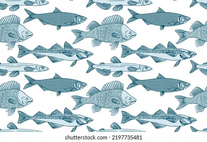 Fish seamless pattern. Perch, Capelin, Herring, Pollock, Shrimp. Vector illustration of fish on on white background. Seafood restaurant menu. Outline coloring book pages design. Wild nature, fishing.