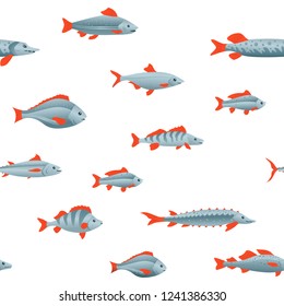 Fish seamless pattern. Pike, pike perch, trout, dorado, sturgeon, tuna, carp, perch, cod, herring