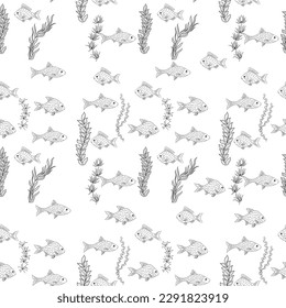 fish, seamless pattern, vector illustration