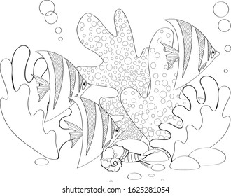 Fish, seashells, seaweed and corals drawn in line art style on white background.