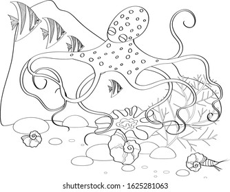  Fish, seashells, seaweed and corals drawn in line art style on white background.