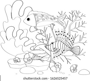 Fish, seashells, seaweed and corals drawn in line art style on white background.