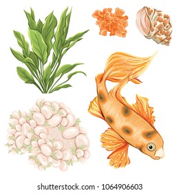 Fish, seaweed, sea urchin, shell, Sea collection. Original hand drawn.  Colored vector illustration without gradients and transparency. Isolated on white background.