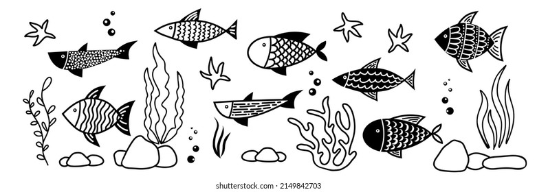 Fish And Seaweed Vector Set. Silhouettes Of Corals, Carps And Algae In Doodle Style. Drawing Of Undersea Life. Hand Drawn Sketch