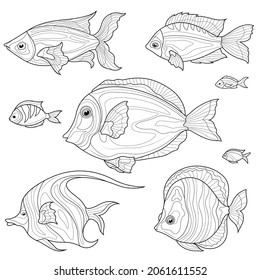 Fish set. Black and white sketch.Coloring book antistress for children and adults. Illustration isolated on white background.Zen-tangle style. Hand draw