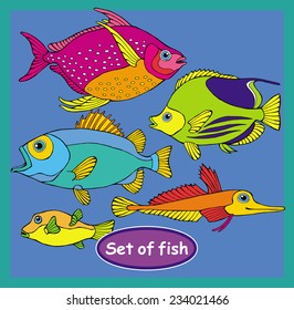 Fish Set Bright Color 