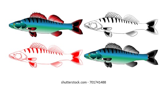 fish set can make any size without loss of quality