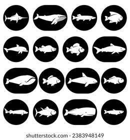 Fish set. Collection icon fish. Vector