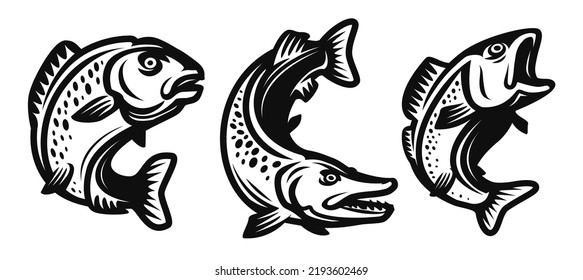 Fish set. Fishing symbol. Carp, pike, perch drawn in decorative monochrome black style. Vector illustration isolated