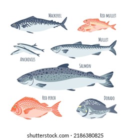 Fish set flat style salmon, dorado, red mullet, anchovies, mullet, red perch, mackerel. Vector illustration