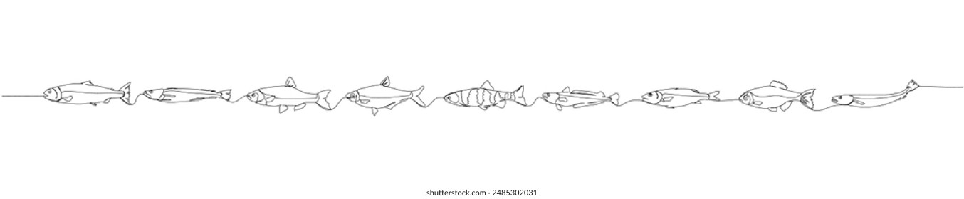 Conjunto de pescado, merluza, salmón, pescado rojo, aceite de salmón, pescado de mar una línea de arte. Línea continua de dibujo de granja, naturaleza, agricultura, piscicultura, pesca.