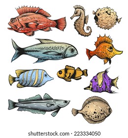 Fish set hand drawn isolated on a white backgrounds, vector illustration
