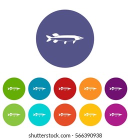 Fish set icons in different colors isolated on white background