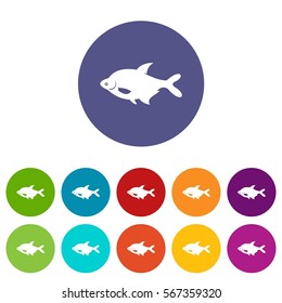 Fish set icons in different colors isolated on white background