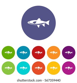 Fish set icons in different colors isolated on white background