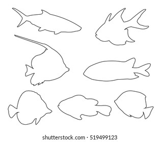 Fish Set Path on the white background