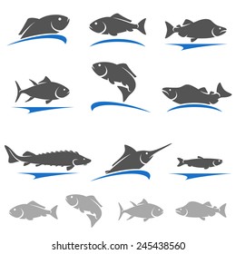 Fish set. Vector