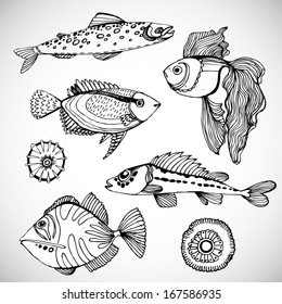 Fish set. Vector illustration.