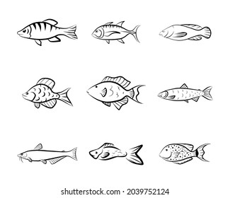 Fish shape sketch drawing vector icon set graphic doodle illustration black outline ocean habitants