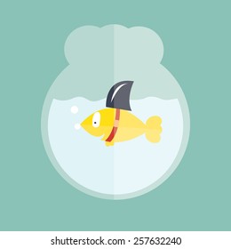 Fish with shark fin