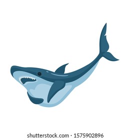 Fish shark vector icon.Cartoon vector icon isolated on white background fish shark .