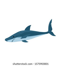 Fish shark vector icon.Cartoon vector icon isolated on white background fish shark .