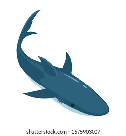 Fish shark vector icon.Cartoon vector icon isolated on white background fish shark .