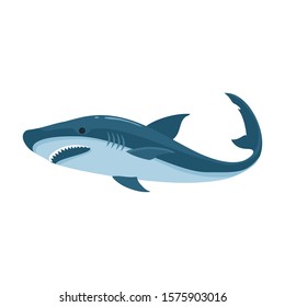 Fish shark vector icon.Cartoon vector icon isolated on white background fish shark .