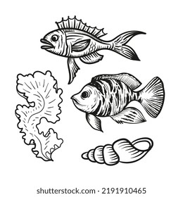 Fish, shells and seaweed in doodle style. Vector set.