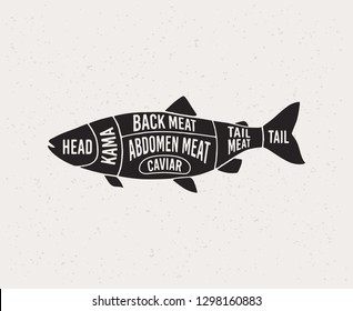 Fish shop. Diagrams for the fish shop. Scheme fish. Silhouette of fish. Vector illustration.