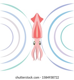 Fish, shrimp, crab, squid.Vector seafood. Food and restaurant design.