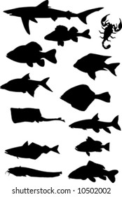 fish silhouette