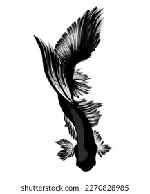 Fish silhouette for back and white tattoo, fish vector.