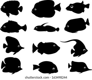 Fish Silhouette of different variation