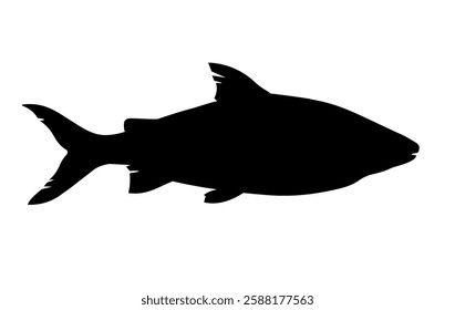 Fish silhouette. Freshwater whitefish or coregonus. Vector black icon isolated on white background