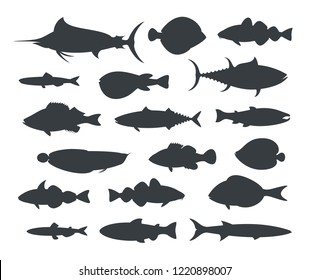 Fish silhouette. Isolated fish on white background