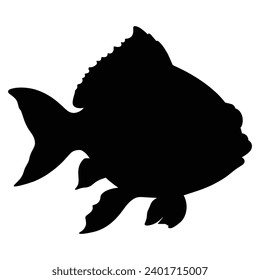 Fish Silhouette on White background